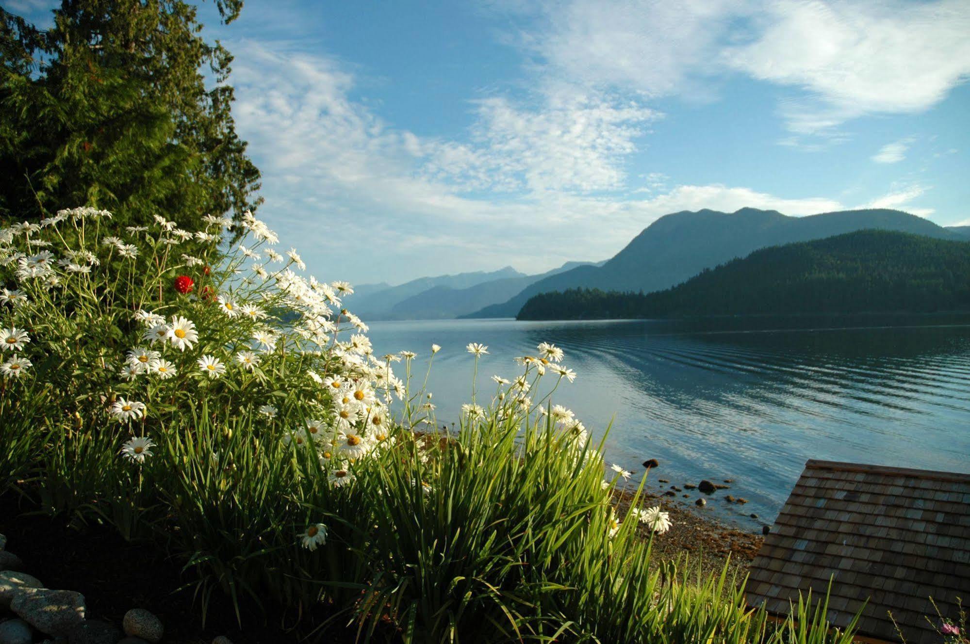 At The Shore Bed And Breakfast Sechelt Buitenkant foto