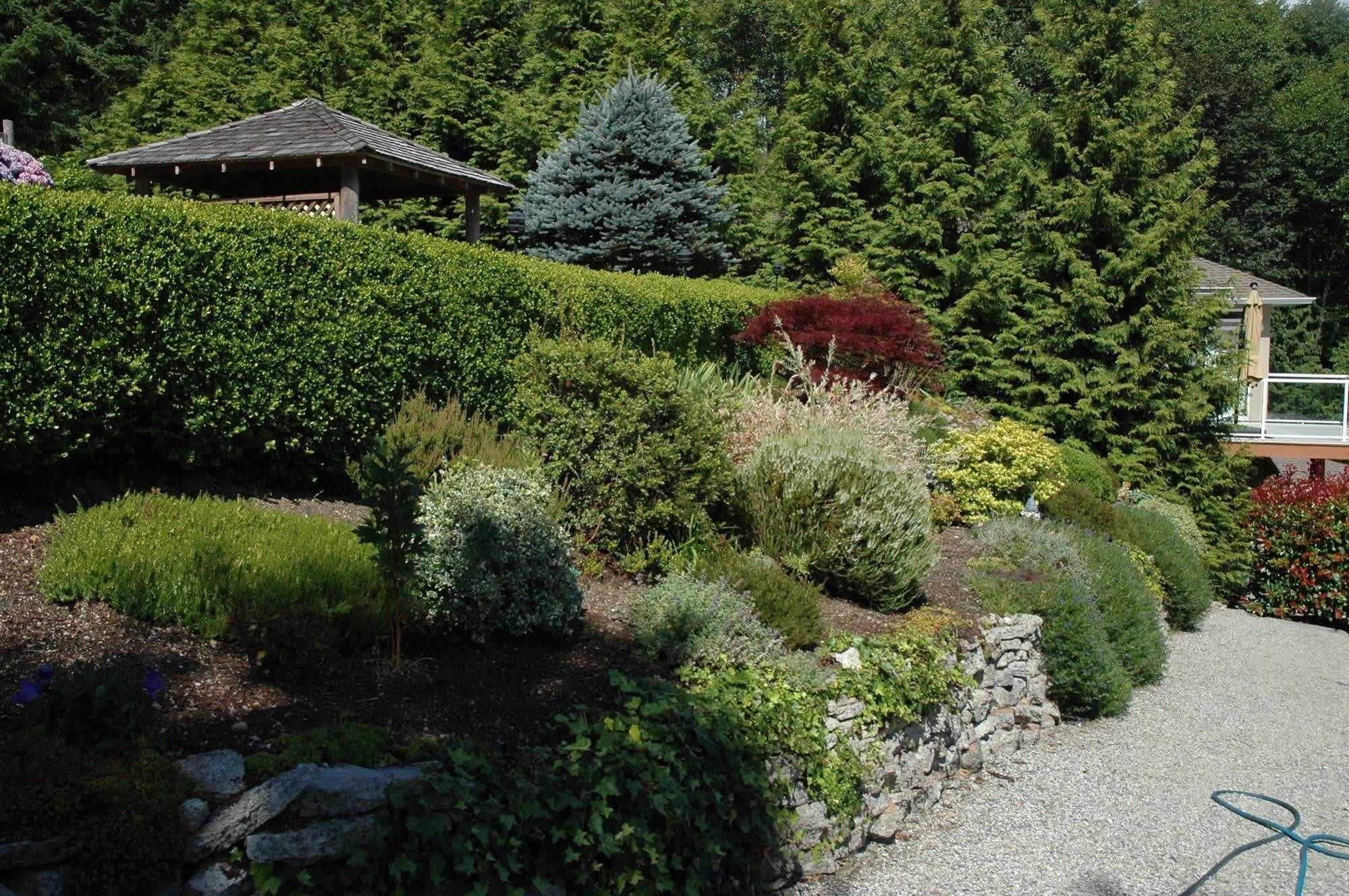 At The Shore Bed And Breakfast Sechelt Buitenkant foto